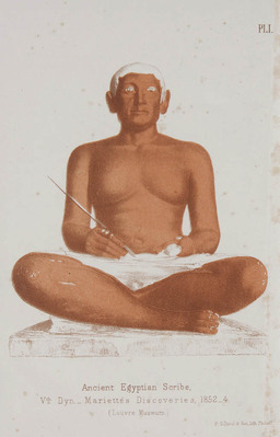 11748
<br/>
Indigenous Races of the earth; or New Chapters of Ethnological Inquiry; including monographs of special departments of Philology, Iconography, cranioscopy, palaeontology, pathology, archaeology, comparative geography and natural history.
<br/>
<em></em>